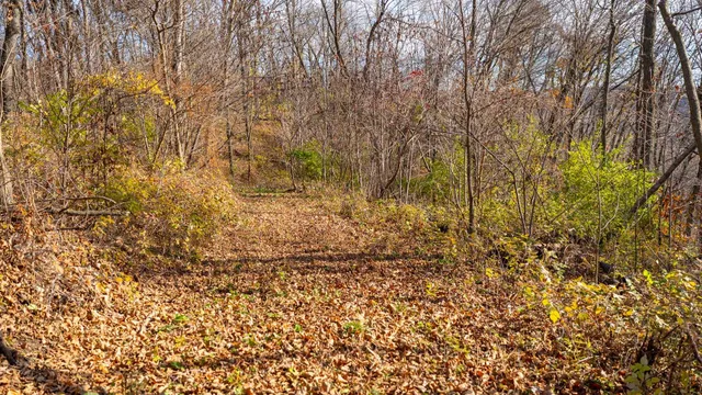 $829,900 | 28302 Hwy 80 Richland Center, Richland Center, WI 53581