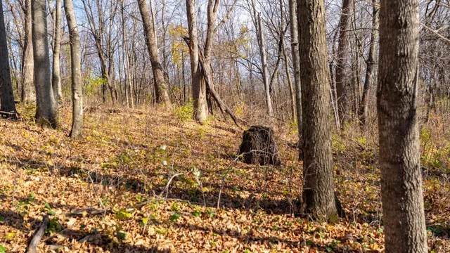 $829,900 | 28302 Hwy 80 Richland Center, Richland Center, WI 53581