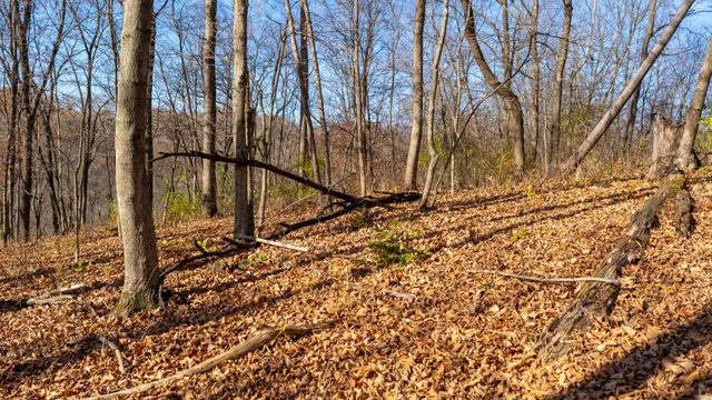 $829,900 | 28302 Hwy 80 Richland Center, Richland Center, WI 53581