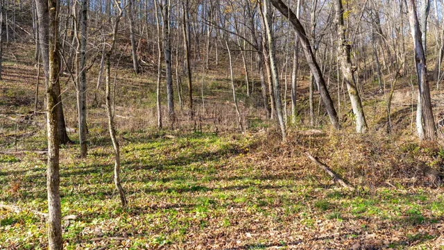 $829,900 | 28302 Hwy 80 Richland Center, Richland Center, WI 53581