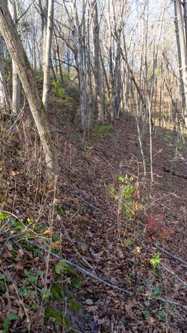 $829,900 | 28302 Hwy 80 Richland Center, Richland Center, WI 53581