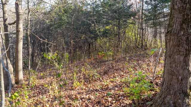 $829,900 | 28302 Hwy 80 Richland Center, Richland Center, WI 53581