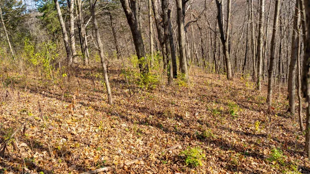 $829,900 | 28302 Hwy 80 Richland Center, Richland Center, WI 53581