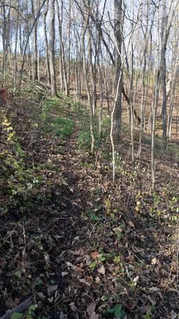 $799,900 | 28302 Hwy 80 Richland Center, Richland Center, WI 53581