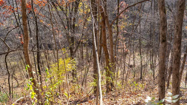 $829,900 | 28302 Hwy 80 Richland Center, Richland Center, WI 53581