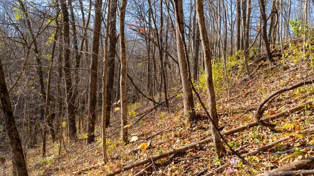 $829,900 | 28302 Hwy 80 Richland Center, Richland Center, WI 53581