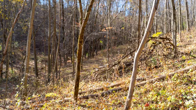 $829,900 | 28302 Hwy 80 Richland Center, Richland Center, WI 53581