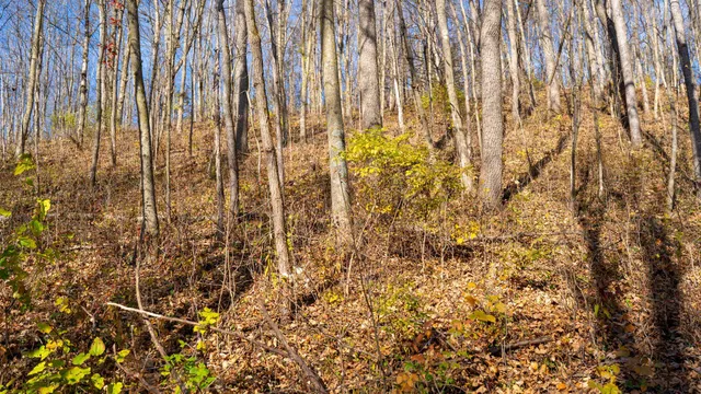 $829,900 | 28302 Hwy 80 Richland Center, Richland Center, WI 53581