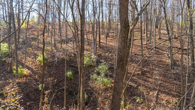 $829,900 | 28302 Hwy 80 Richland Center, Richland Center, WI 53581