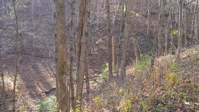 $829,900 | 28302 Hwy 80 Richland Center, Richland Center, WI 53581