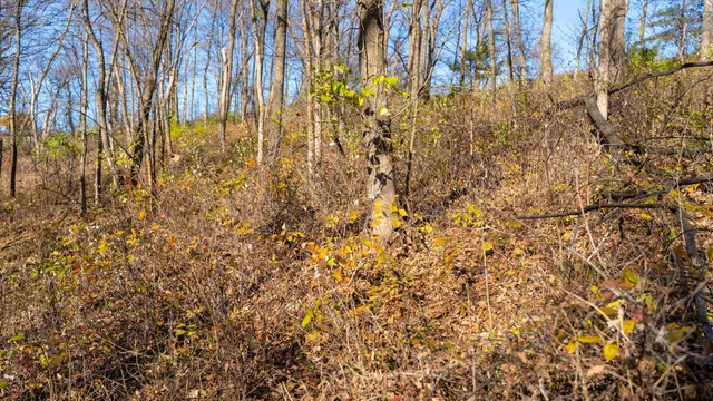 $829,900 | 28302 Hwy 80 Richland Center, Richland Center, WI 53581