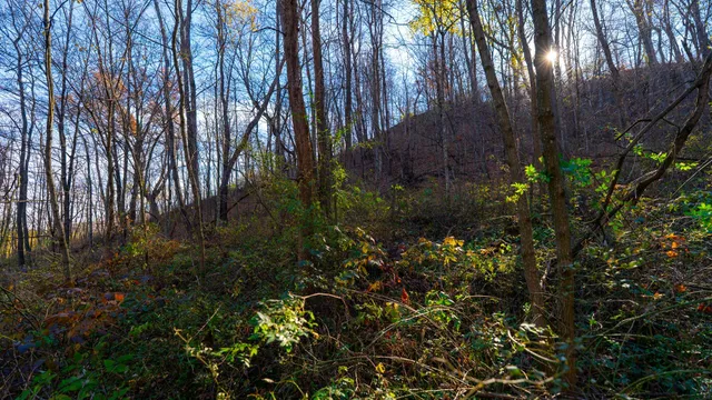 $829,900 | 28302 Hwy 80 Richland Center, Richland Center, WI 53581