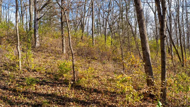 $829,900 | 28302 Hwy 80 Richland Center, Richland Center, WI 53581