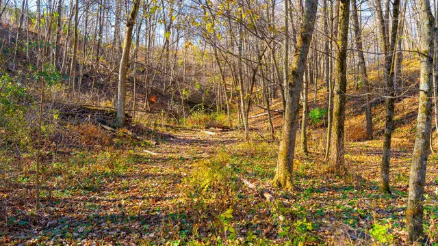 $829,900 | 28302 Hwy 80 Richland Center, Richland Center, WI 53581