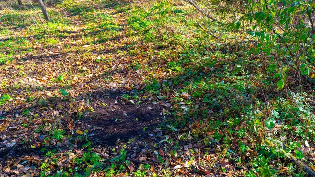 $829,900 | 28302 Hwy 80 Richland Center, Richland Center, WI 53581