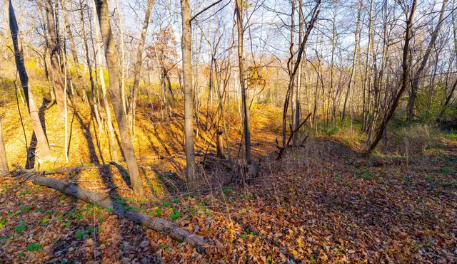 $829,900 | 28302 Hwy 80 Richland Center, Richland Center, WI 53581