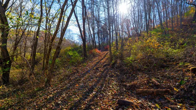 $829,900 | 28302 Hwy 80 Richland Center, Richland Center, WI 53581