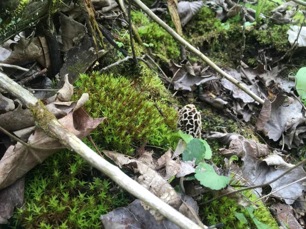 $799,900 | 28302 Hwy 80 Richland Center, Richland Center, WI 53581