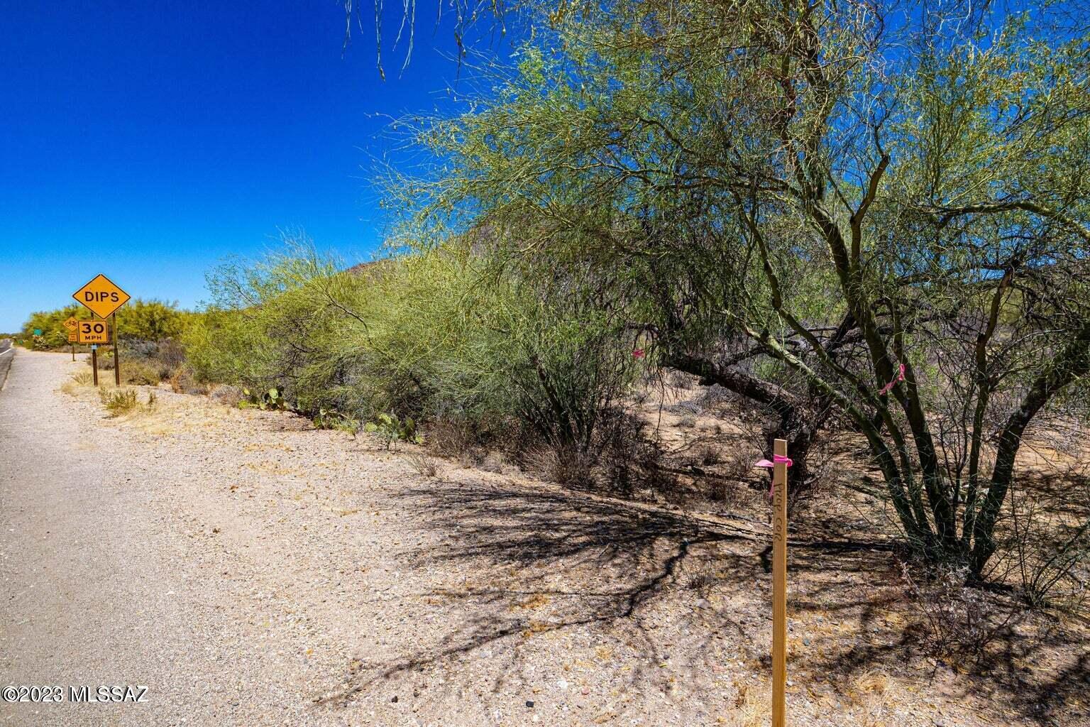 2621 South Kinney Road Tucson, AZ 85713 - Photo 6 of 12