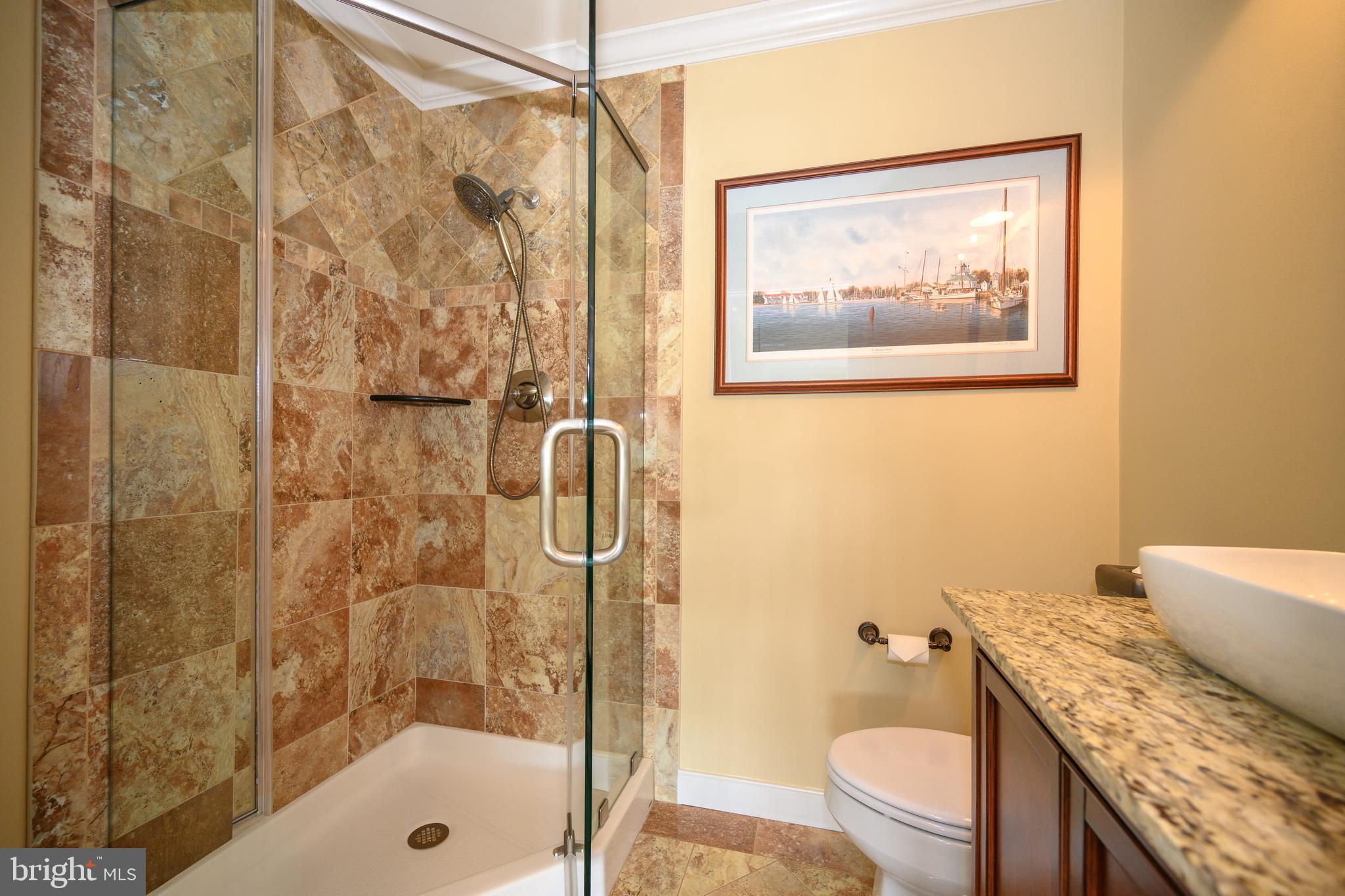21477 Island Club Road Tilghman, MD 21671 - Photo 38 of 50 a bathroom with a granite countertop toilet a sink and shower