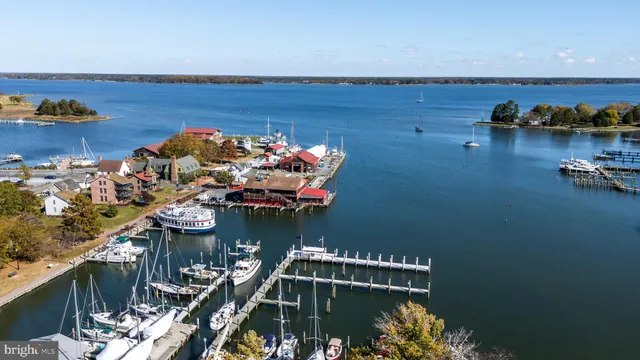 a view of a ocean with boats and palm trees