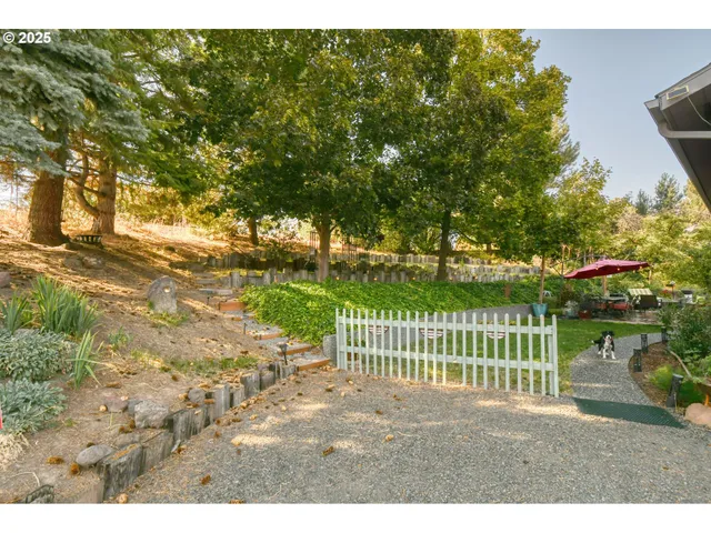 a view of a yard with plants and trees