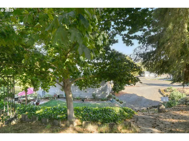 a view of a tree in front of a house next to a yard