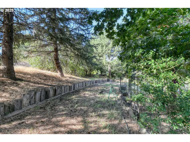 a view of a yard with an tree