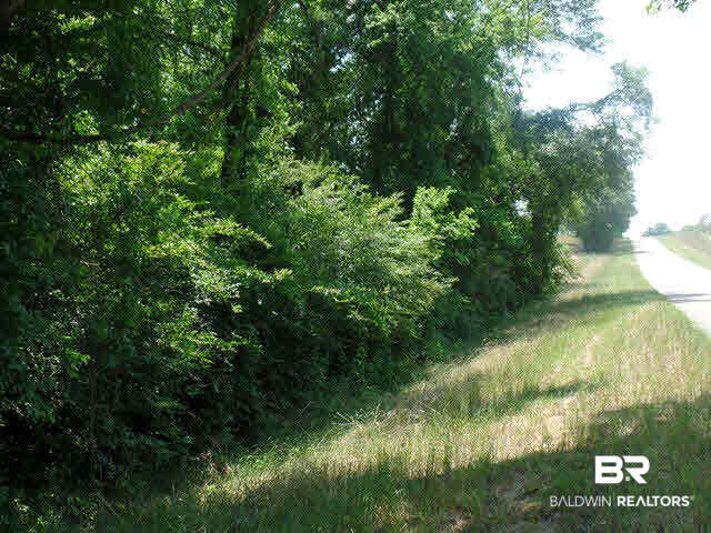 500 County Road 462 Kinston, AL 36453 - Photo 21 of 25