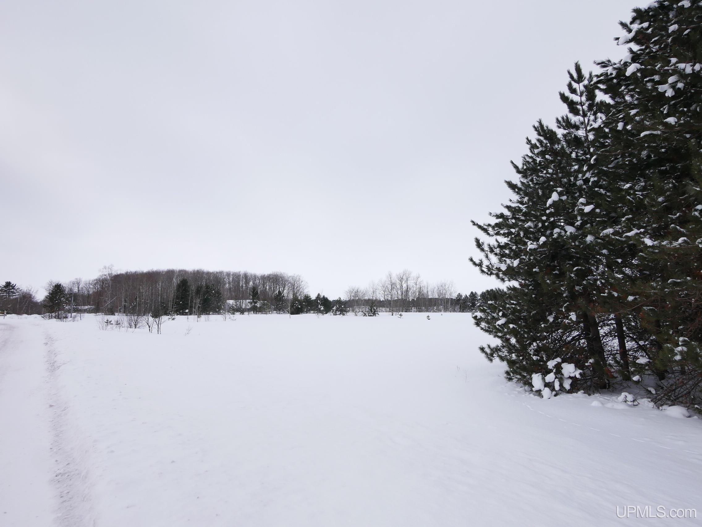 Parcel B Liminga Road Atlantic Mine, MI 49905 - Photo 16 of 22 Gallery Image 16
