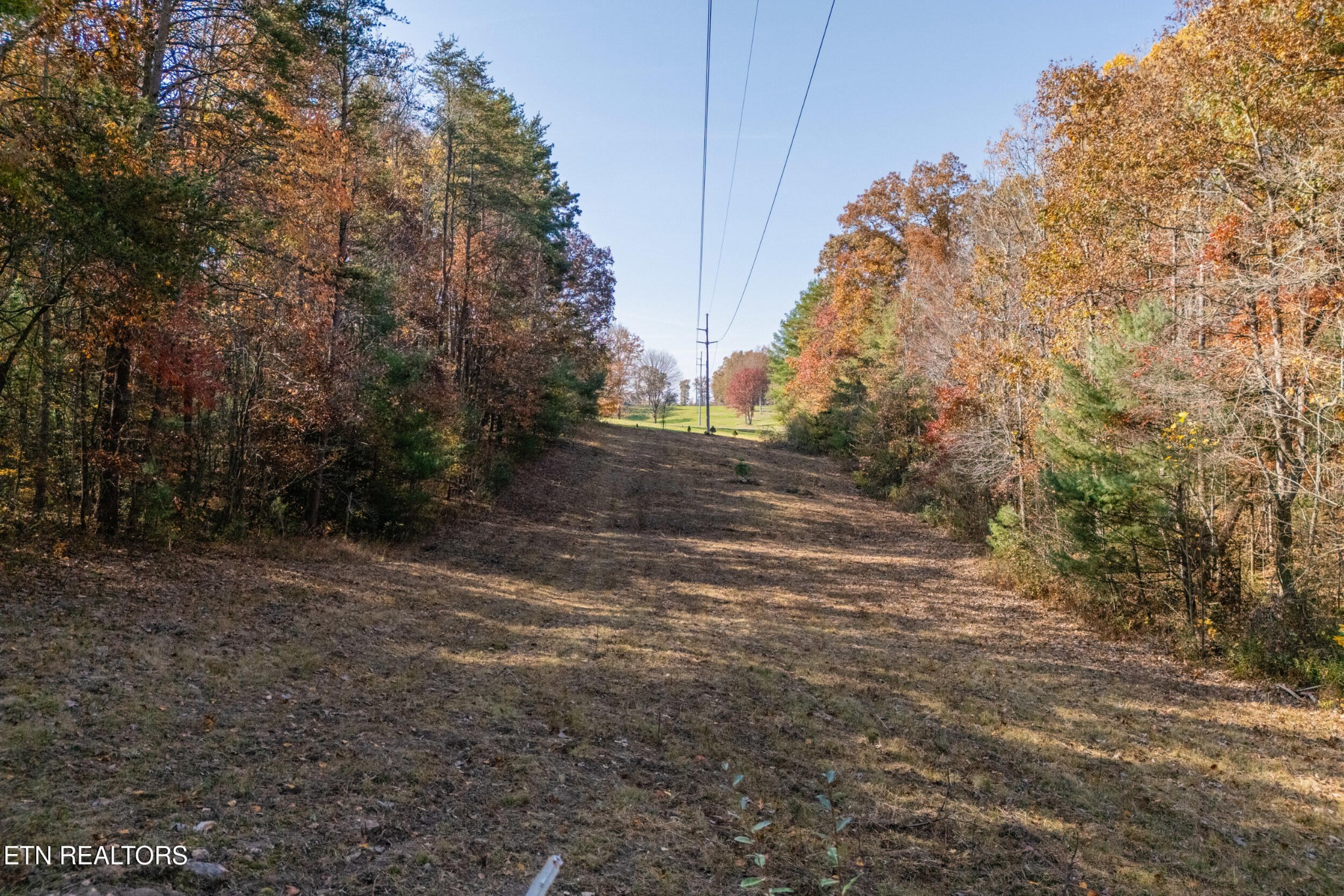 365 Kerrigan Road Crossville, TN 38555 - Photo 46 of 51