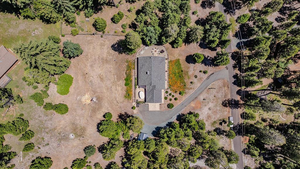 26845 Spring Court Pioneer, CA 95666 - Photo 84 of 89 an aerial view of a house with a yard and a forest