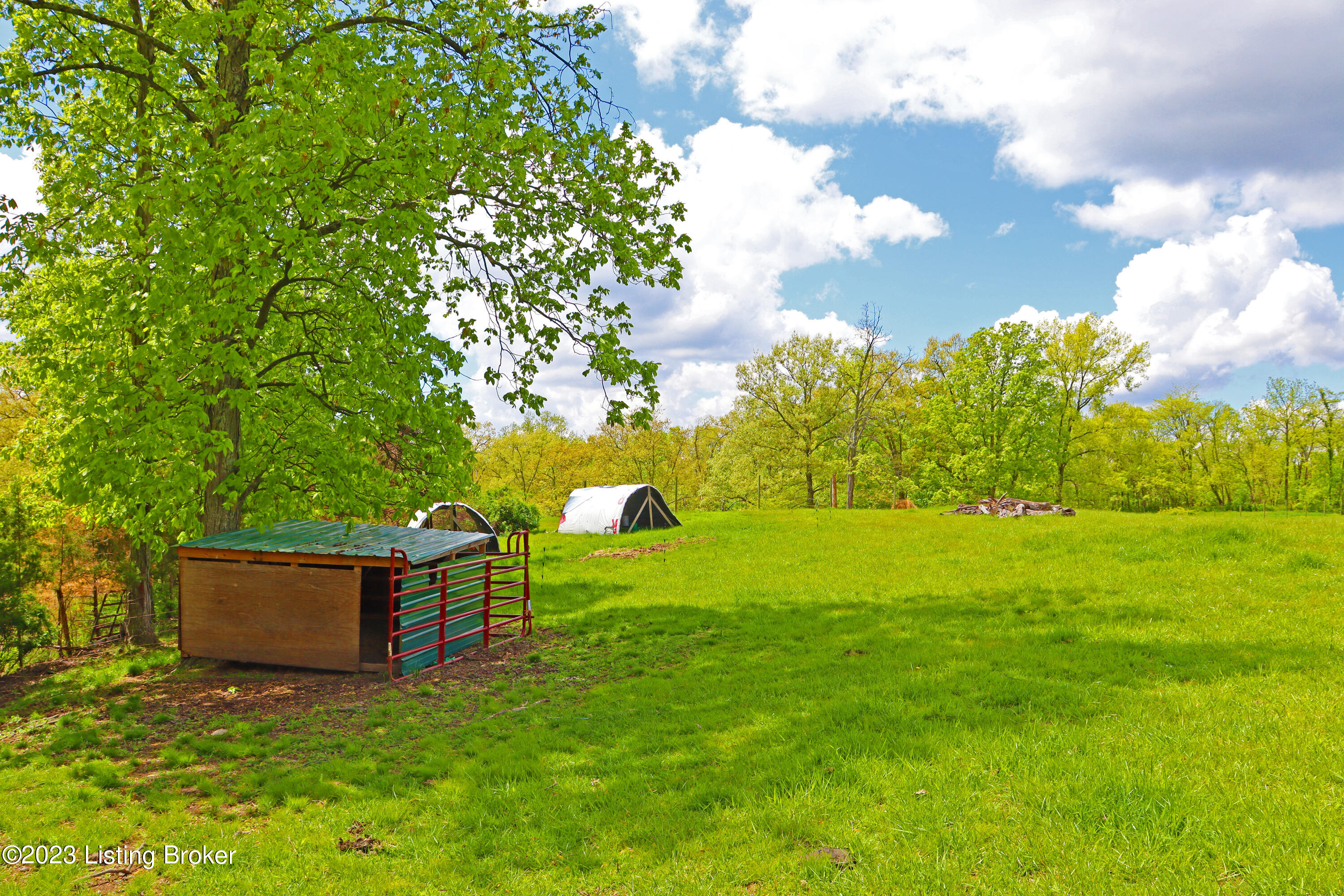 1771 Lebanon Ridge Road Bagdad, KY 40003 - Photo 59 of 65 Rear Pasture Chicken Coops