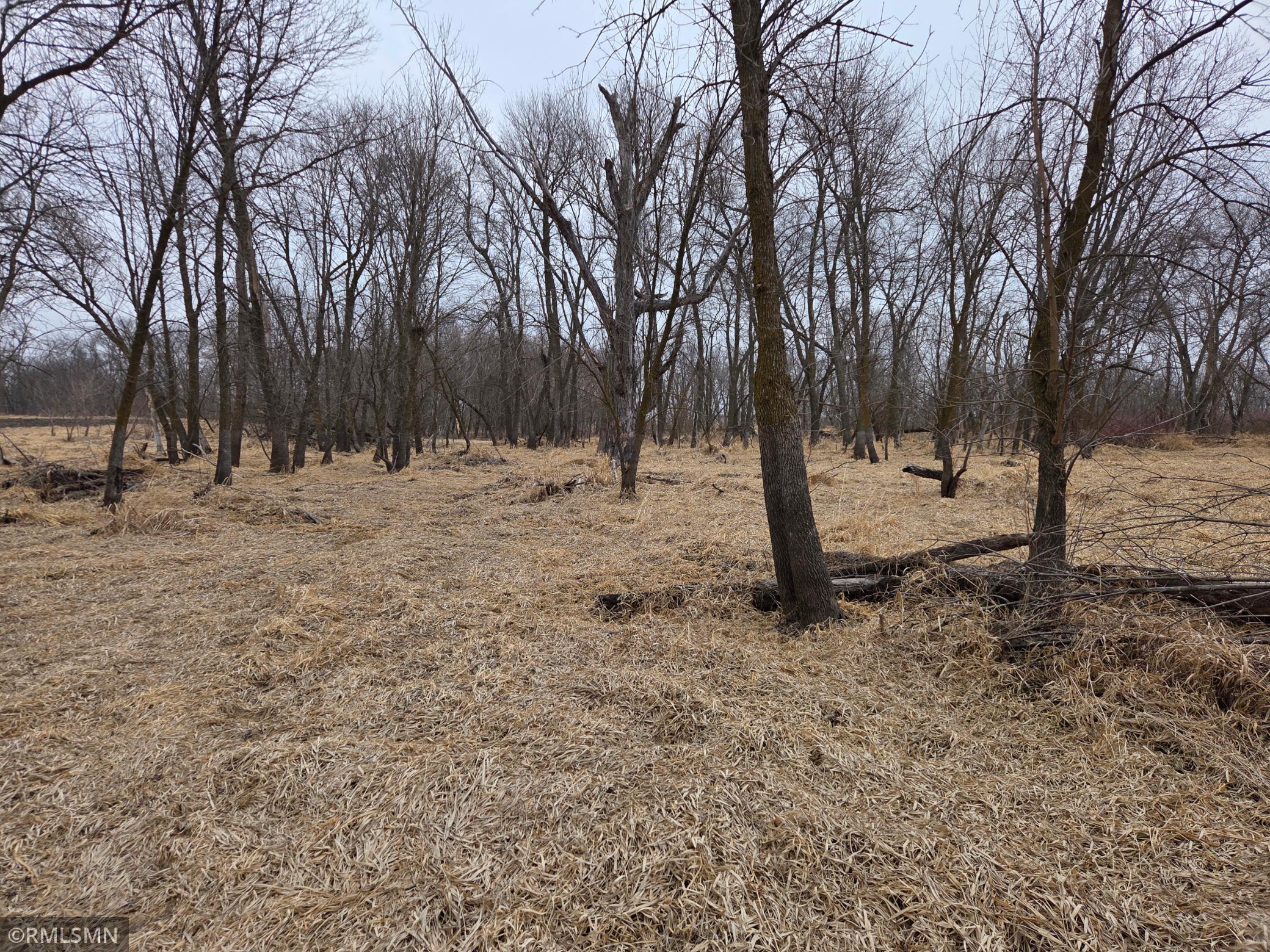 Tbd Tbd 484th Lane Waterville, MN 56096 - Photo 22 of 52