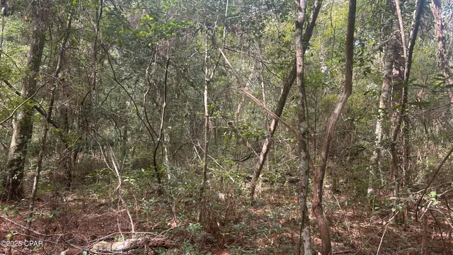 $59,900 | 0 Strickland Road, Ebro, FL 32437