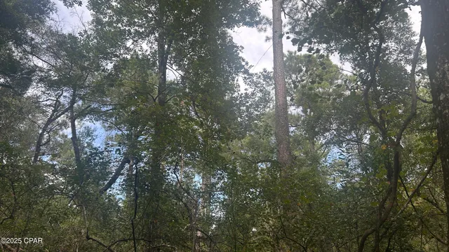 $59,900 | 0 Strickland Road, Ebro, FL 32437