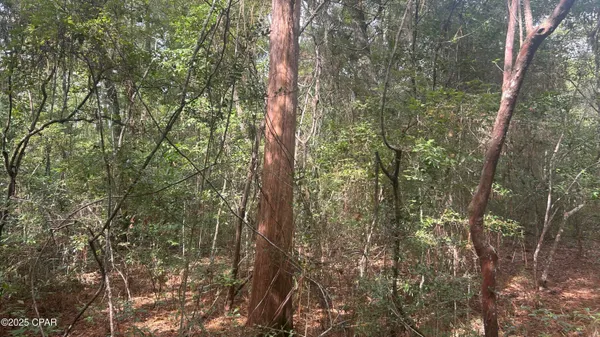 $45,900 | 0 Strickland Road, Ebro, FL 32437