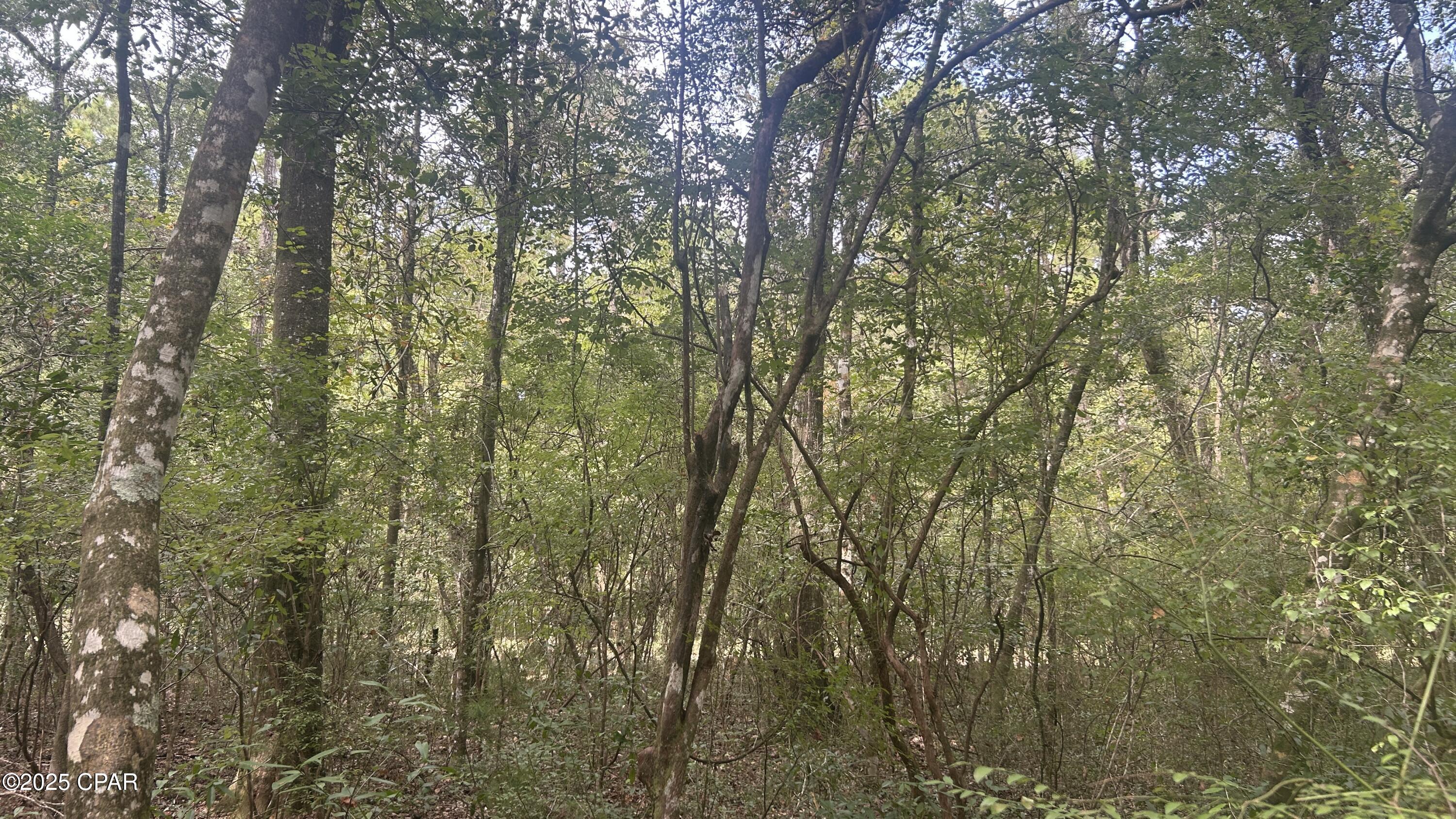 0 Strickland Road Ebro, FL 32437 - Photo 15 of 18