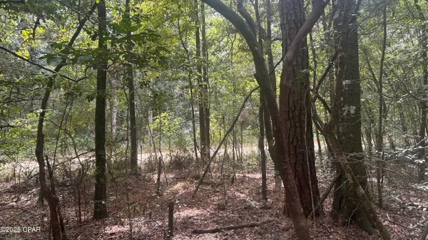 $45,900 | 0 Strickland Road, Ebro, FL 32437