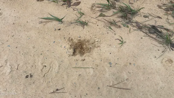 $45,900 | 0 Strickland Road, Ebro, FL 32437