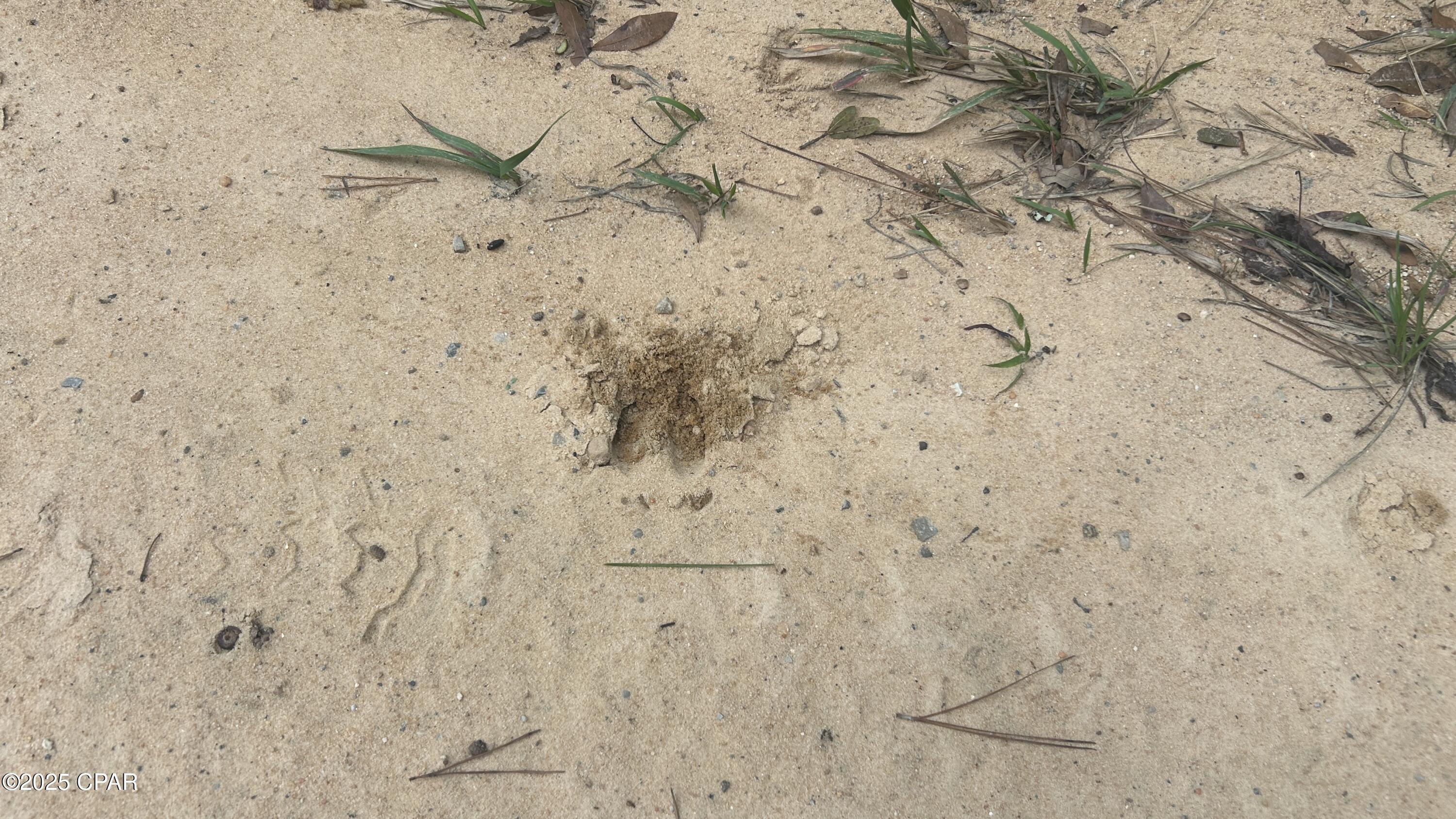 0 Strickland Road Ebro, FL 32437 - Photo 17 of 18