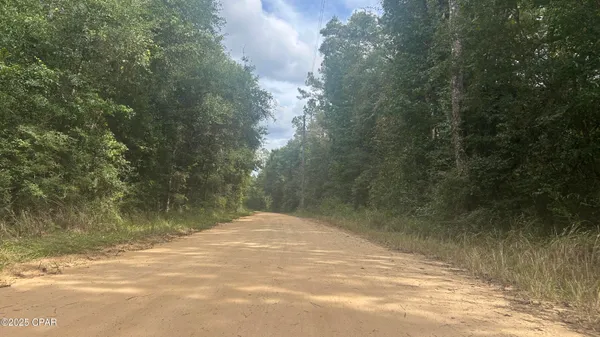 $45,900 | 0 Strickland Road, Ebro, FL 32437