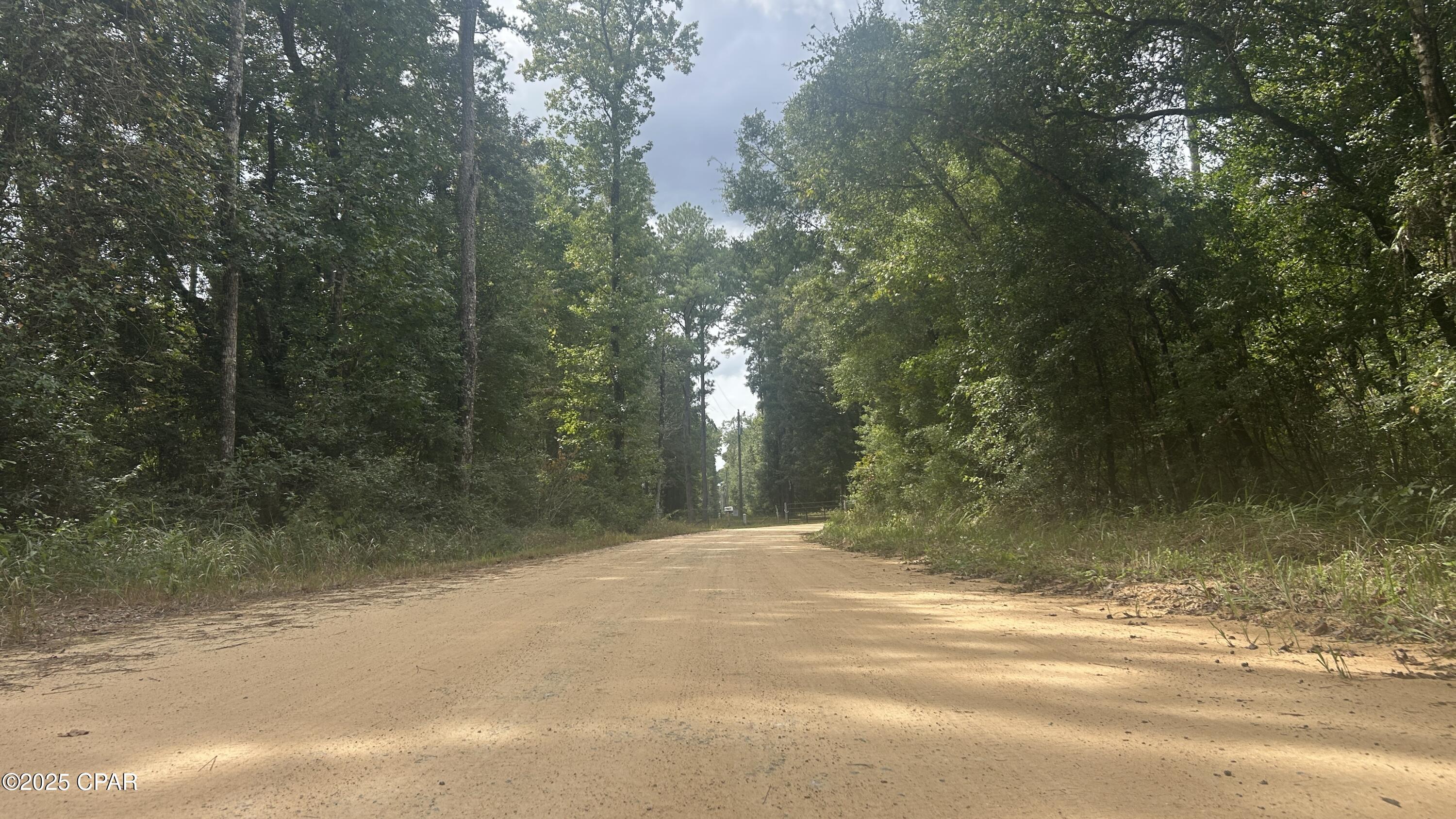 0 Strickland Road Ebro, FL 32437 - Photo 3 of 18