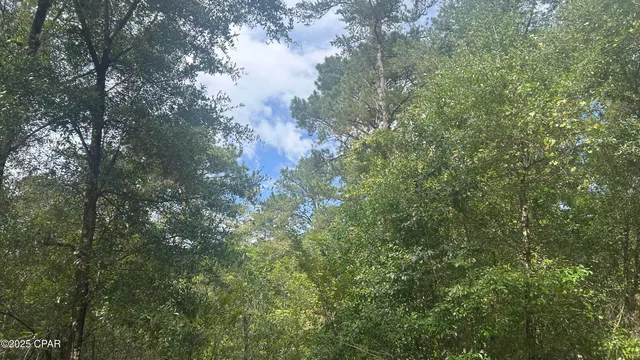 $59,900 | 0 Strickland Road, Ebro, FL 32437