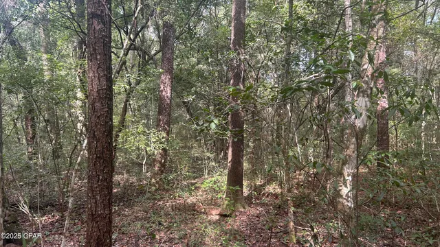 $59,900 | 0 Strickland Road, Ebro, FL 32437