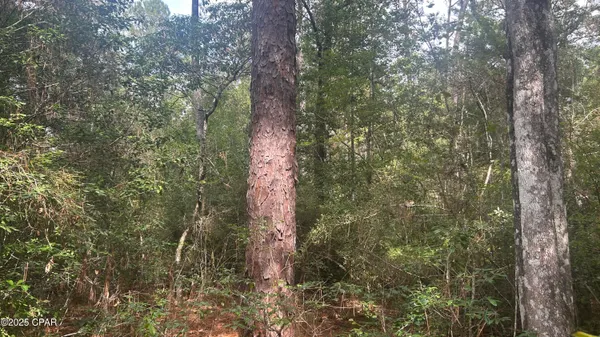 $45,900 | 0 Strickland Road, Ebro, FL 32437