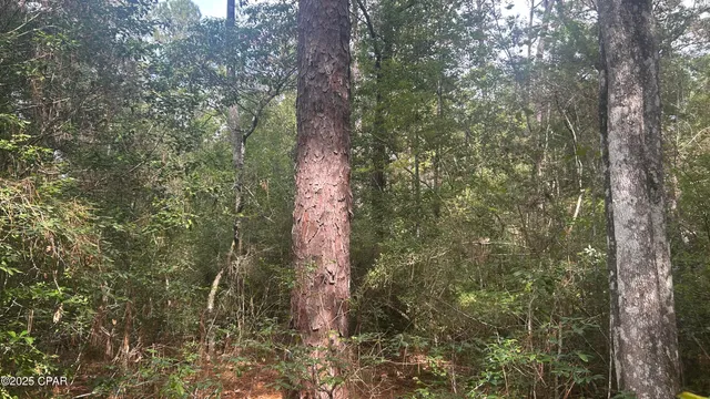 $59,900 | 0 Strickland Road, Ebro, FL 32437