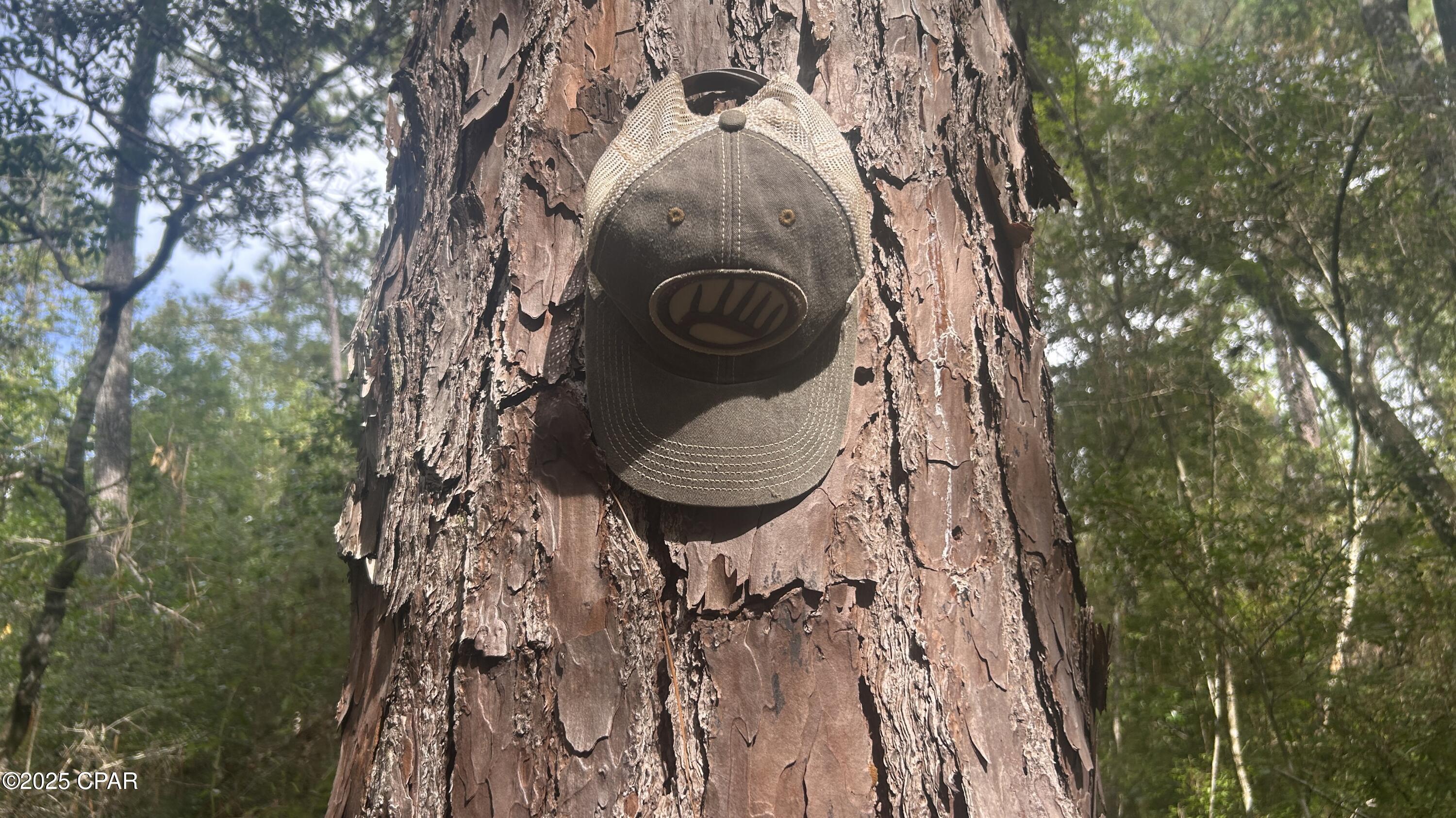 0 Strickland Road Ebro, FL 32437 - Photo 7 of 18