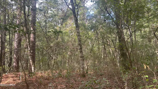 $45,900 | 0 Strickland Road, Ebro, FL 32437