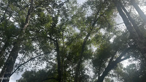 $45,900 | 0 Strickland Road, Ebro, FL 32437